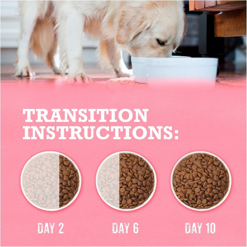 Purina Beyond Superfood Blend Salmon, Egg, and Pumpkin Recipe Dry Dog Food