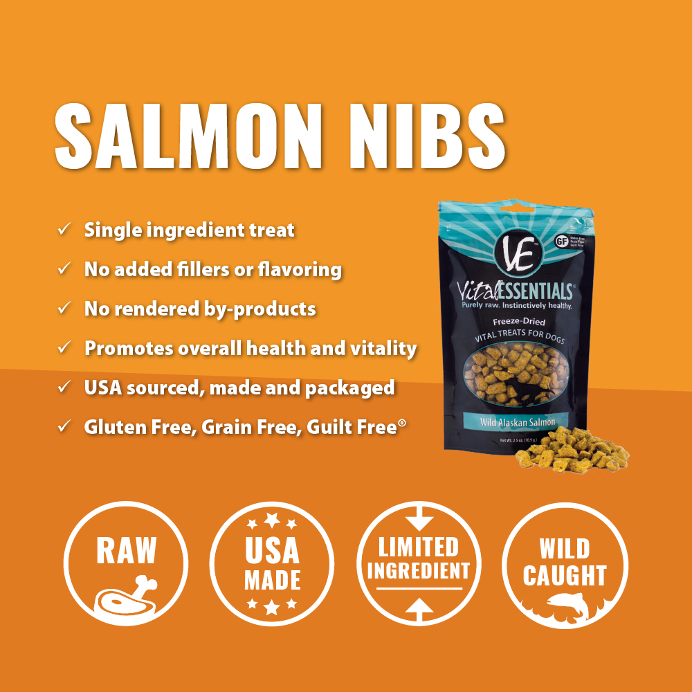 Vital Essentials Freeze Dried Wild Alaskan Salmon Vital Treats for Dogs