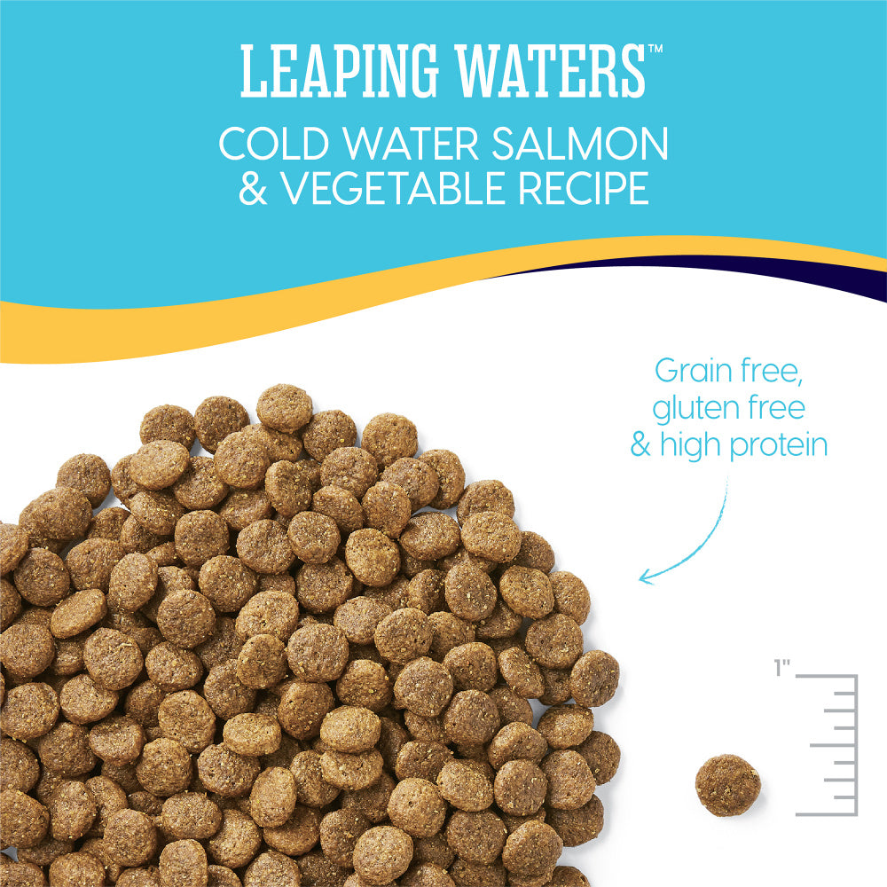 Solid Gold Leaping Waters Adult Cold Water Salmon and Vegetable Recipe Dry Dog Food