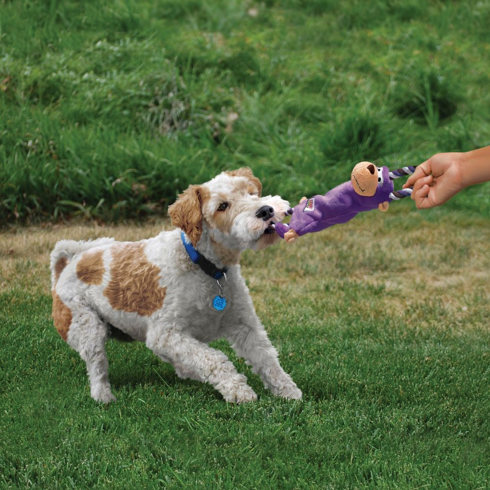 KONG Tuggerknots Moose Dog Toy