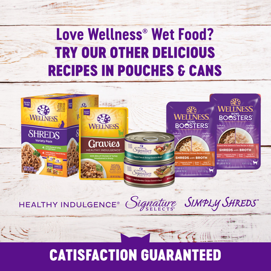 Wellness Healthy Indulgence Natural Grain Free Gravies with Chicken and Turkey in Gravy Cat Food Pouch