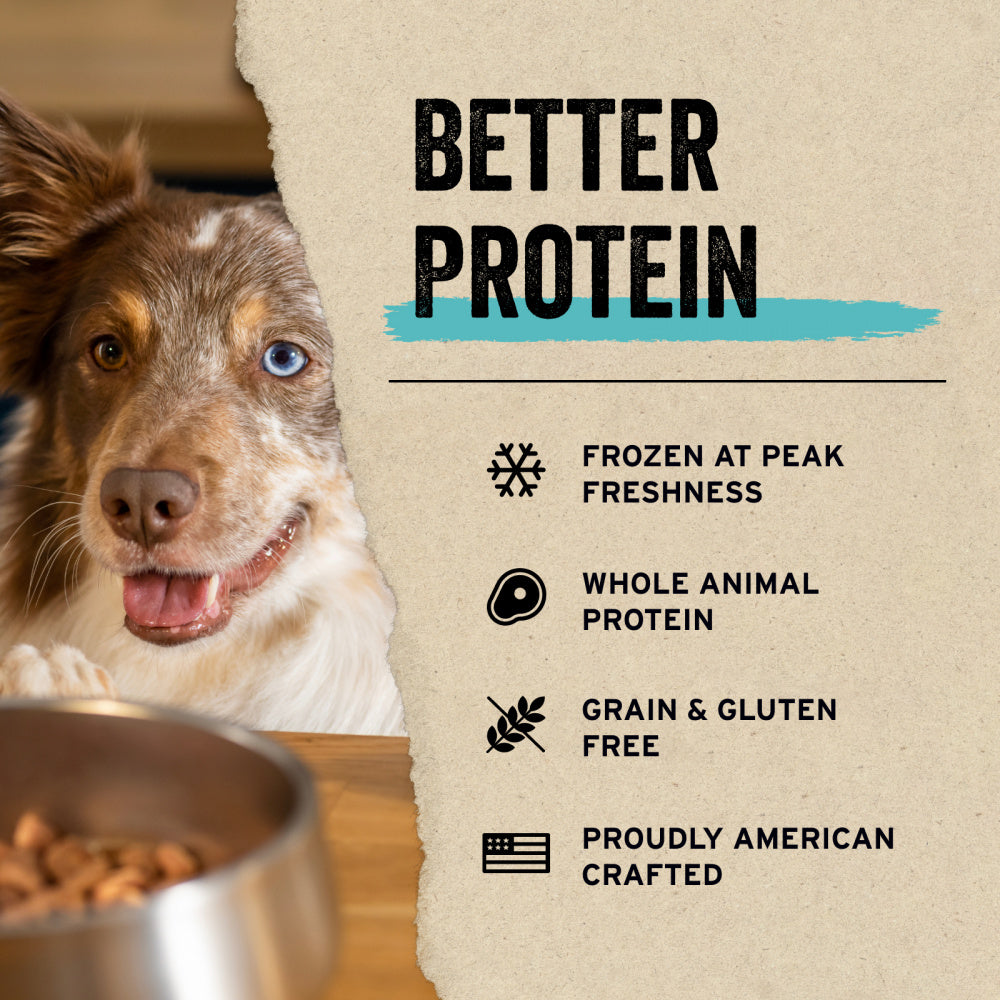 Vital Essentials Freeze Dried Grain Free Minnows Treats for Dogs