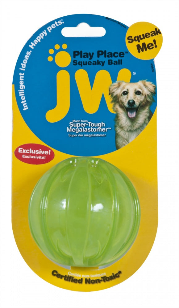 JW Pet Playplace Squeaky Ball Dog Toy