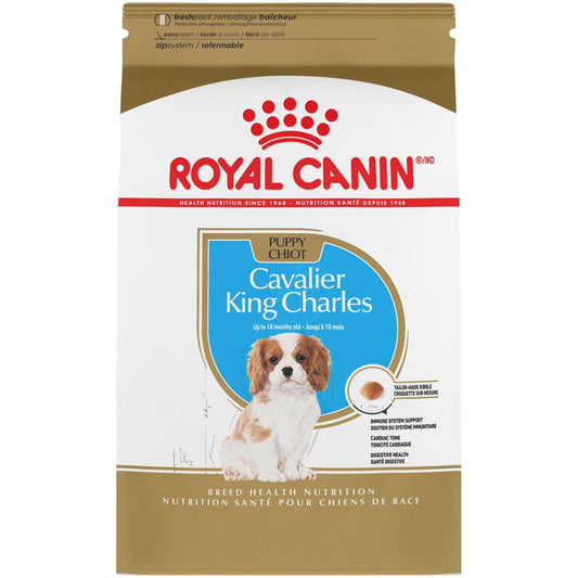 Royal Canin Breed Health Nutrition Cavalier King Charles Spaniel Puppy Recipe Dry Dog Food