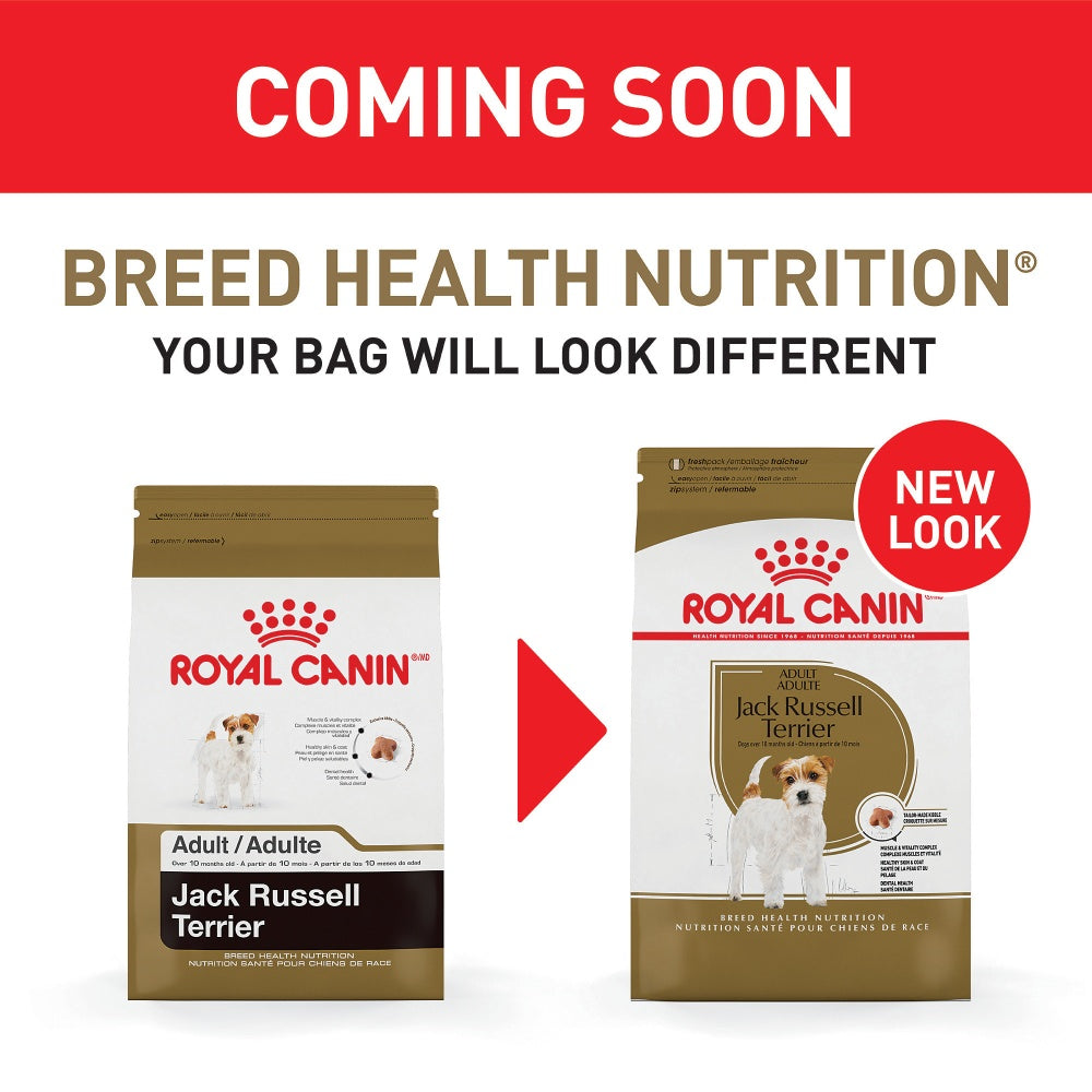 Royal Canin Breed Health Nutrition Adult Jack Russell Terrier Dry Dog Food