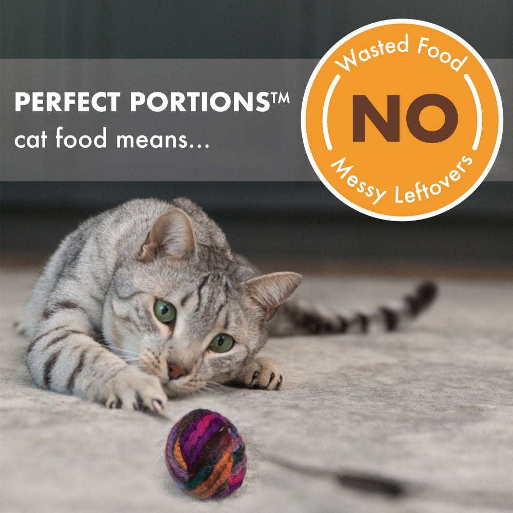 Nutro Perfect Portions Adult Grain Free Turkey Pate Wet Cat Food Trays