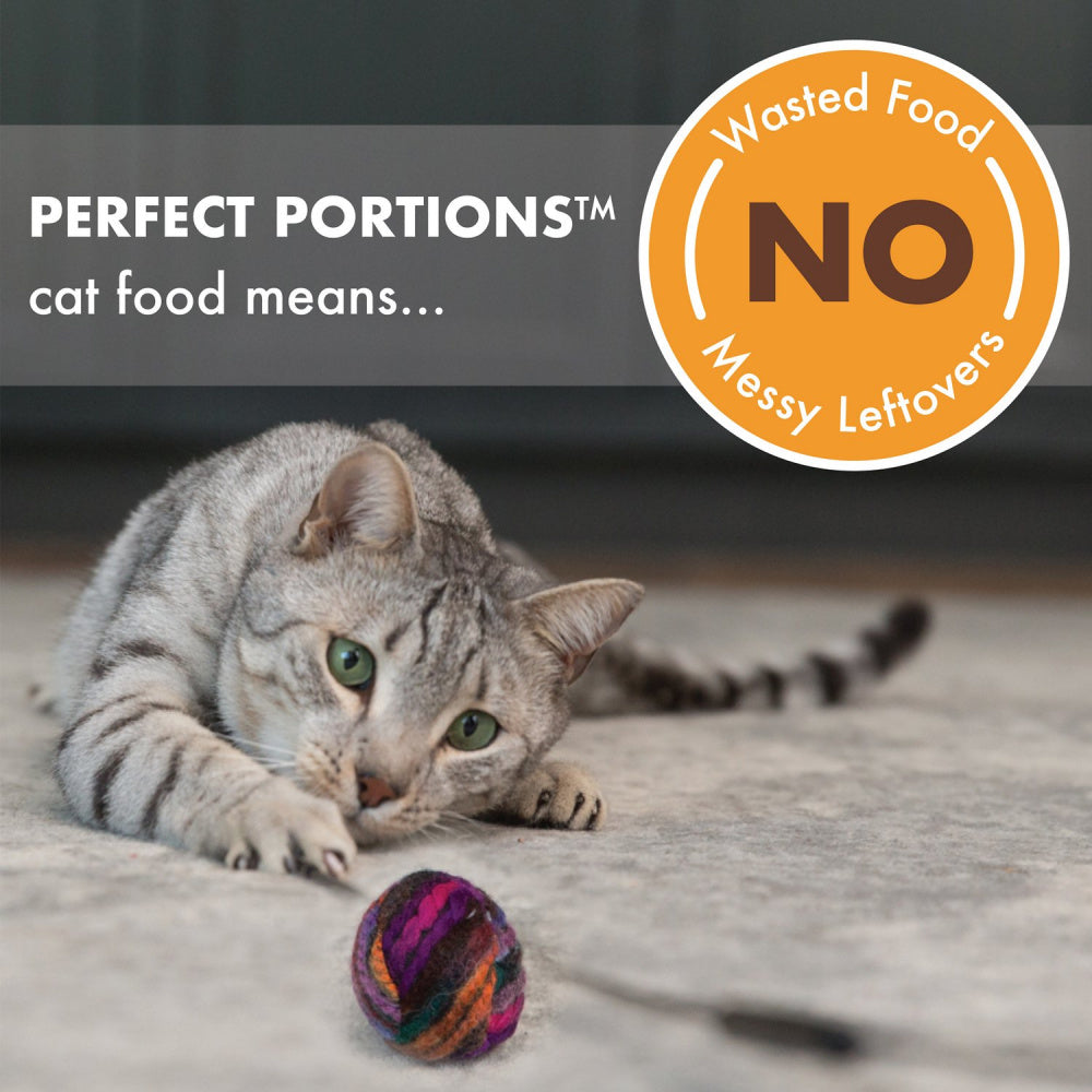 Nutro Perfect Portions Grain Free Chicken and Turkey Cuts in Gravy Wet Cat Food Tray Variety Pack