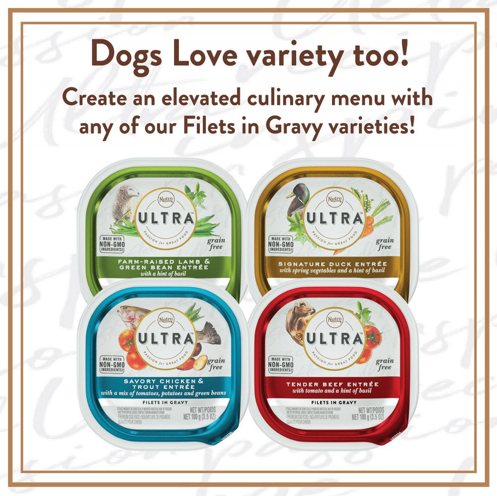 Nutro Ultra Grain Free Savory Assortment Variety Pack Filets in Gravy Wet Dog Food