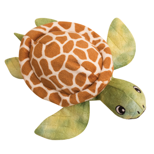 Snugarooz Shelldon the Turtle Plush Dog Toy