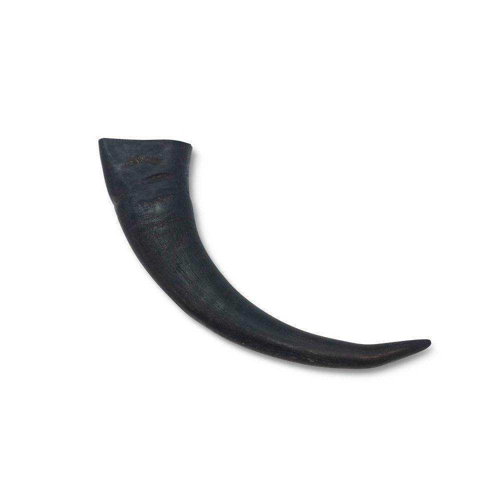 Wild Eats Water Buffalo Horn Dog Chew