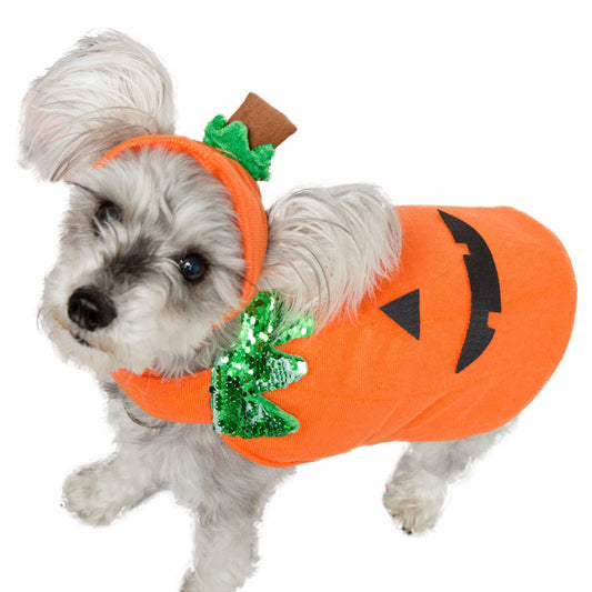 Pet Krewe Pumpkin Dog and Cat Costume