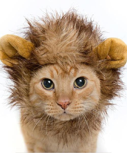 Pet Krewe Lion Mane Cat Costume