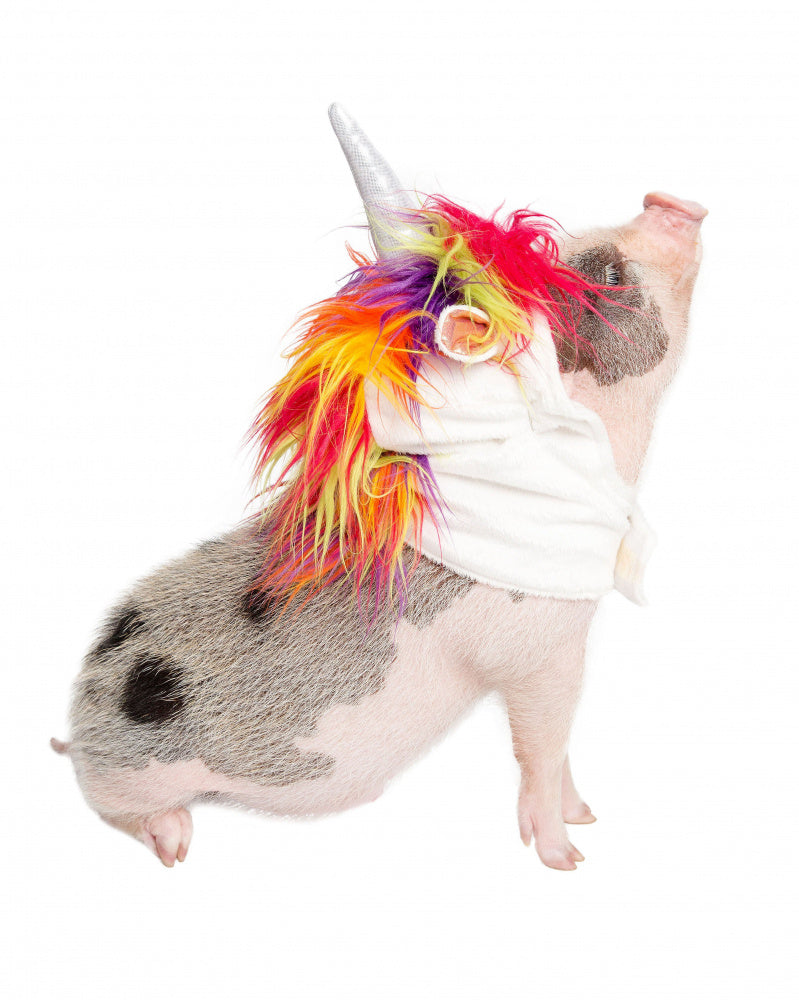 Pet Krewe Unicorn Cat Costume