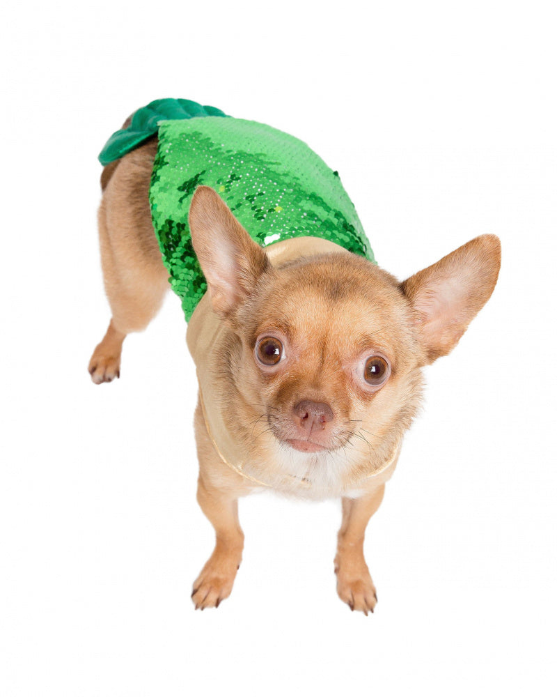 Pet Krewe Mermaid Dog Costume