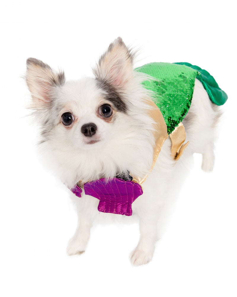 Pet Krewe Mermaid Dog Costume