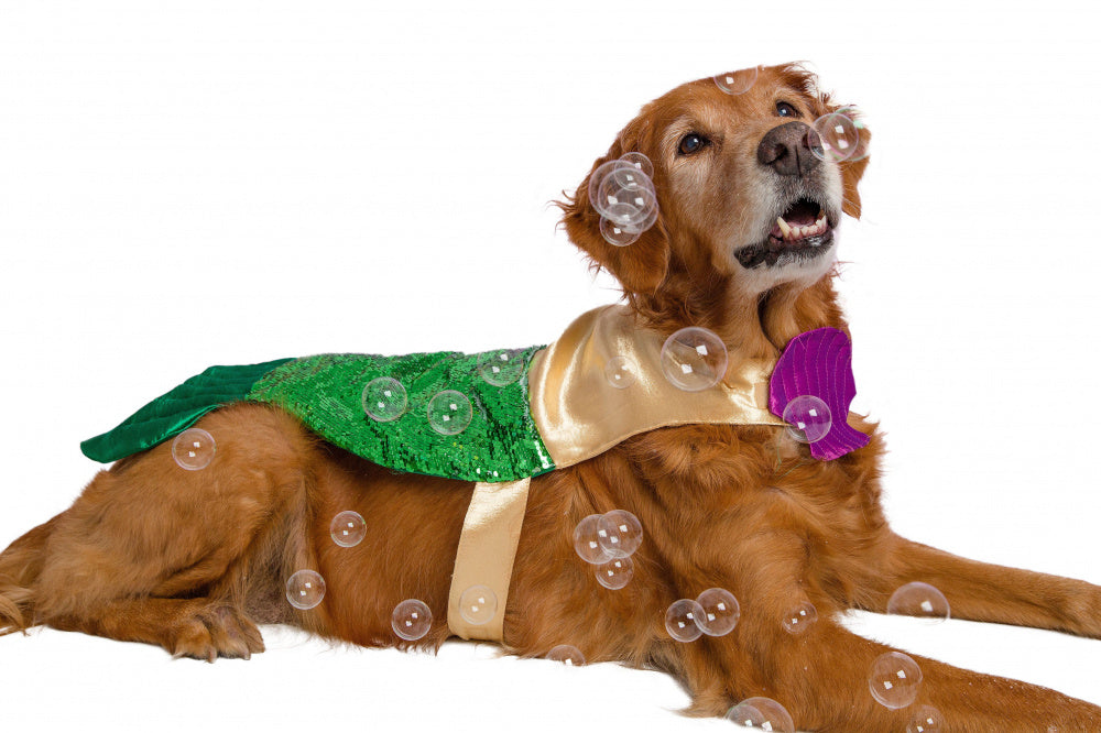 Pet Krewe Mermaid Dog Costume