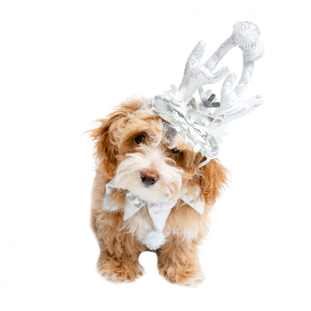 Pet Krewe Christmas Frozen Antler Silver Dog Costume