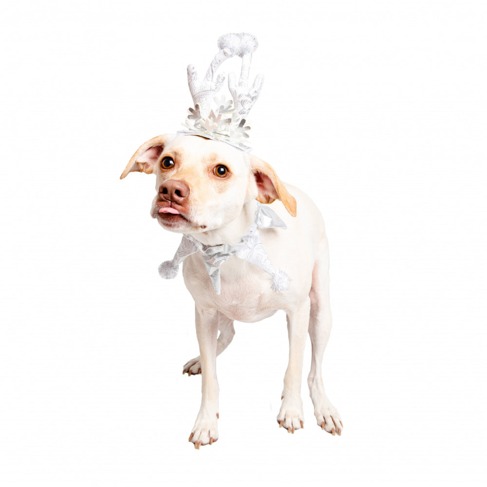 Pet Krewe Christmas Frozen Antler Silver Dog Costume