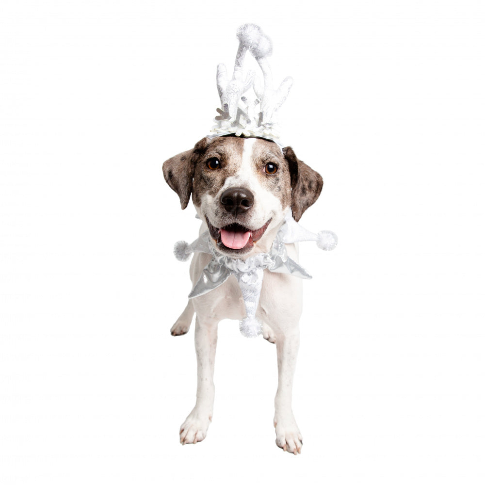 Pet Krewe Christmas Frozen Antler Silver Dog Costume