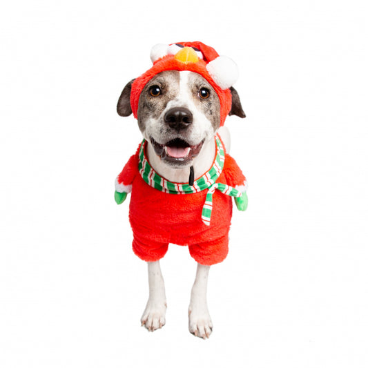 Pet Krewe Sesame Street Santa Elmo Pet Costume