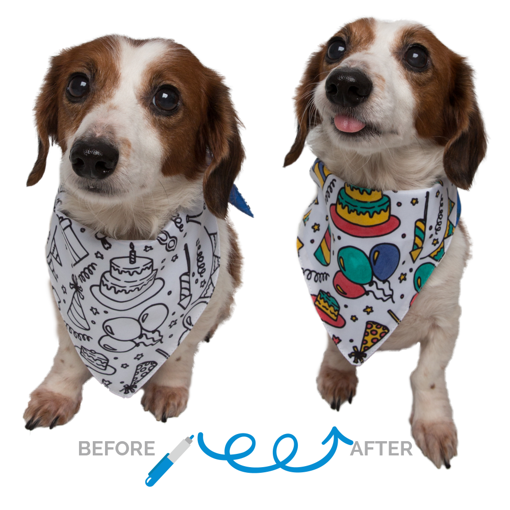 Pet Krewe Birthday Celebration DIY Pet Bandana Kit