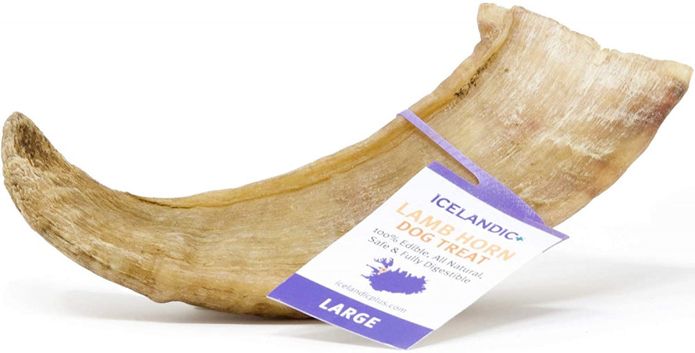 Icelandic+ Large Lamb Horn Dog Treat