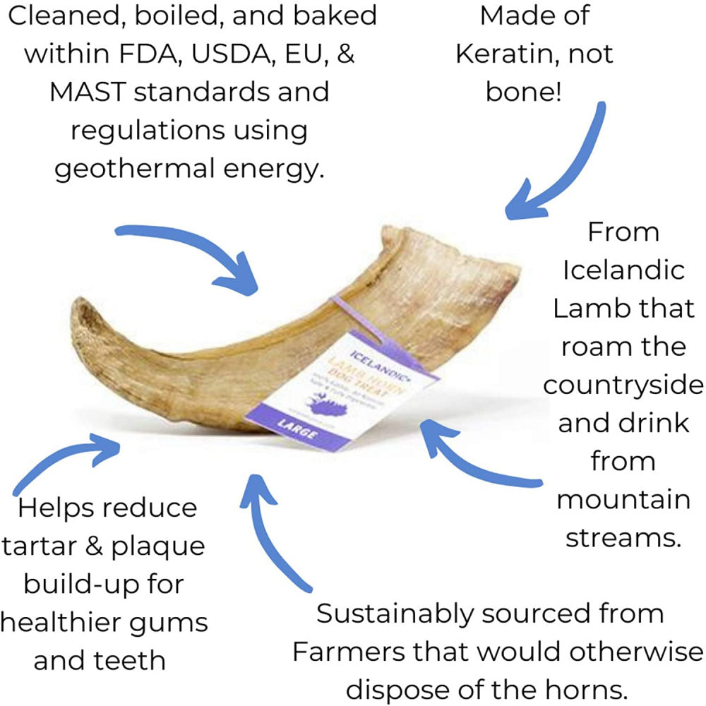 Icelandic+ Large Lamb Horn Dog Treat