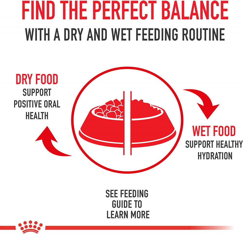 Royal Canin Breed Health Nutrition Pomeranian Adult Dry Dog Food