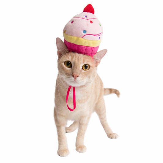 Pet Krewe Cupcake Hat Costume for Cats & Dogs