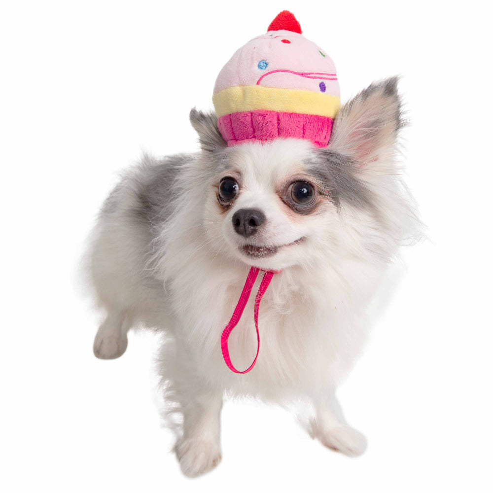 Pet Krewe Cupcake Hat Costume for Cats & Dogs