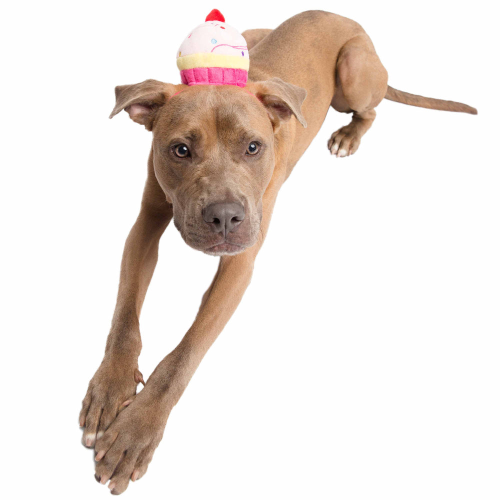 Pet Krewe Cupcake Hat Costume for Cats & Dogs