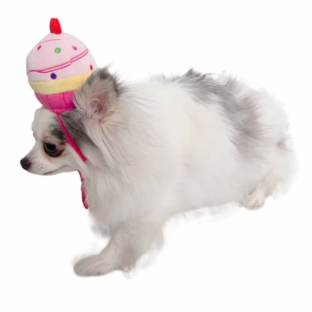 Pet Krewe Cupcake Hat Costume for Cats & Dogs