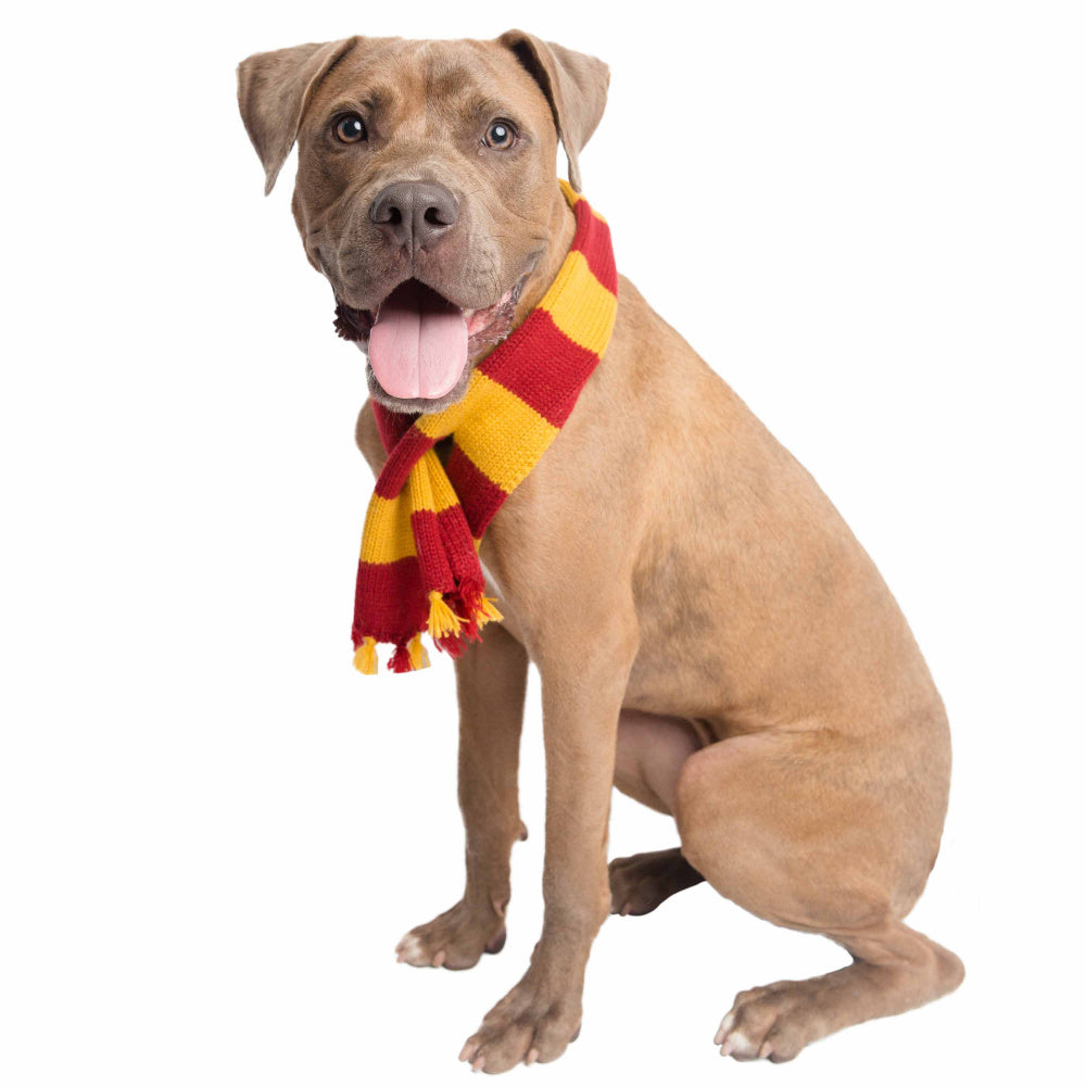 Pet Krewe Hipster Wizard Scarf for Cats & Dogs