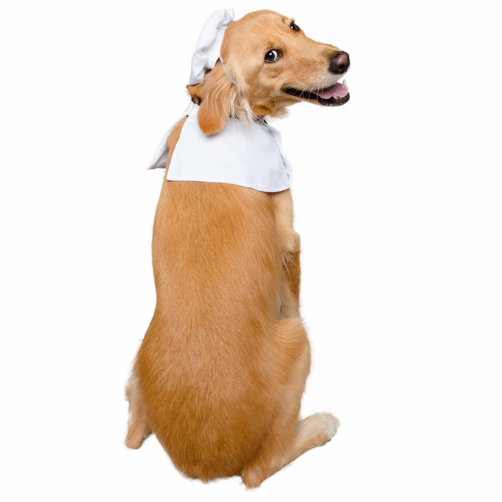 Pet Krewe Chef Uniform Costume for Cats & Dogs