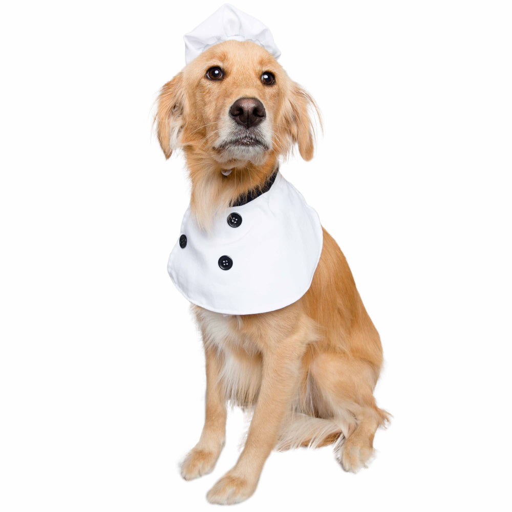 Pet Krewe Chef Uniform Costume for Cats & Dogs