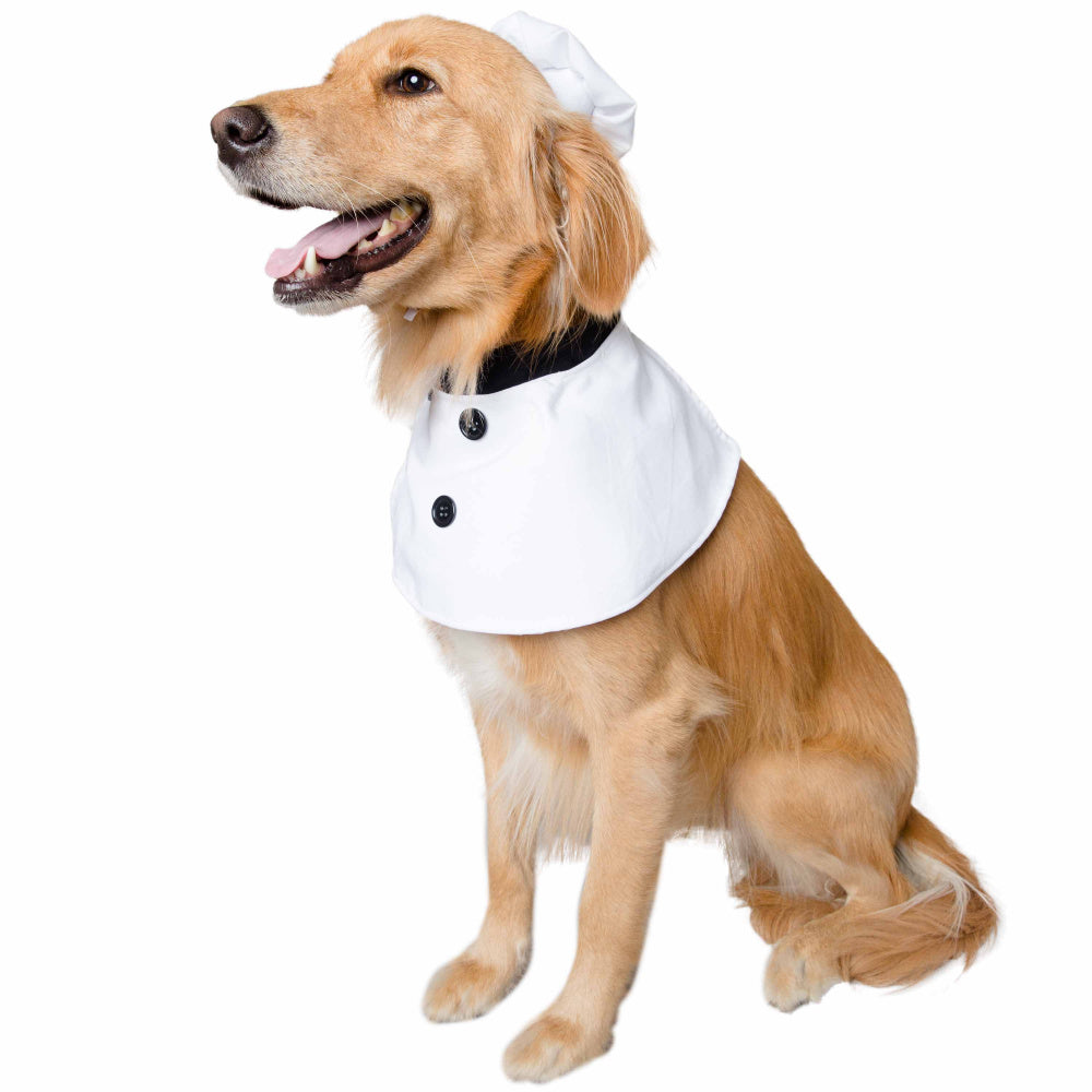 Pet Krewe Chef Uniform Costume for Cats & Dogs