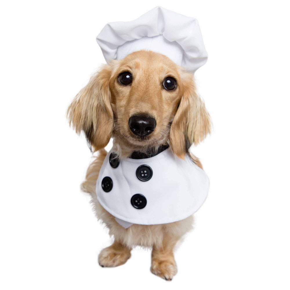 Pet Krewe Chef Uniform Costume for Cats & Dogs