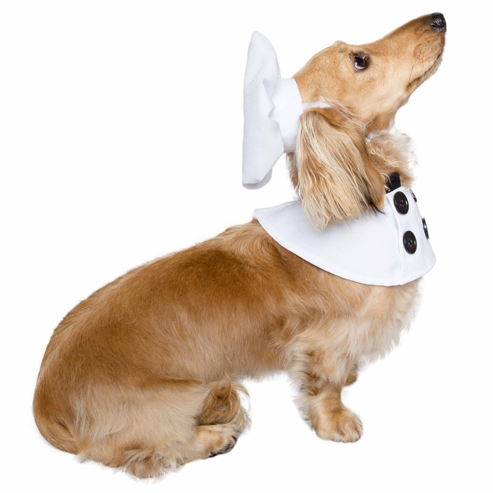 Pet Krewe Chef Uniform Costume for Cats & Dogs