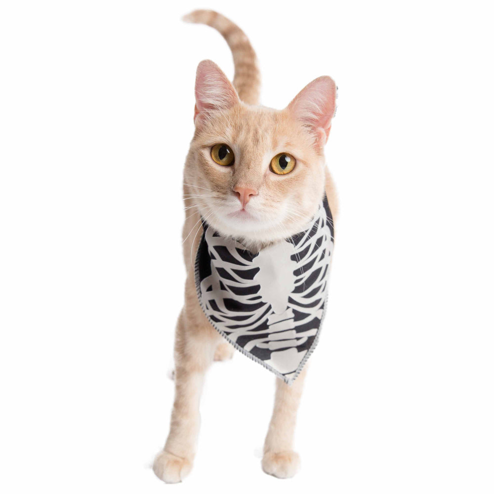 Pet Krewe Glow In The Dark Skeleton Bandana Costume for Cats & Dogs