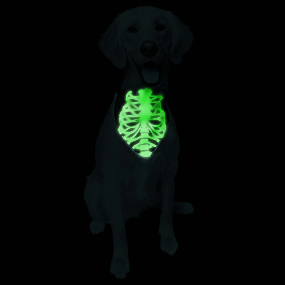 Pet Krewe Glow In The Dark Skeleton Bandana Costume for Cats & Dogs