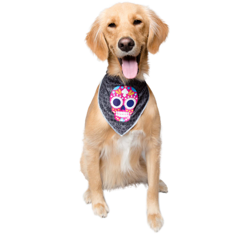 Pet Krewe Glow In The Dark Skull Bandana Costume for Cats & Dogs