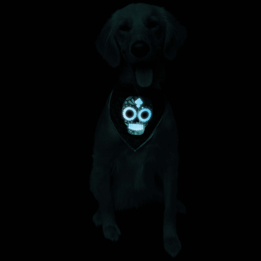 Pet Krewe Glow In The Dark Skull Bandana Costume for Cats & Dogs