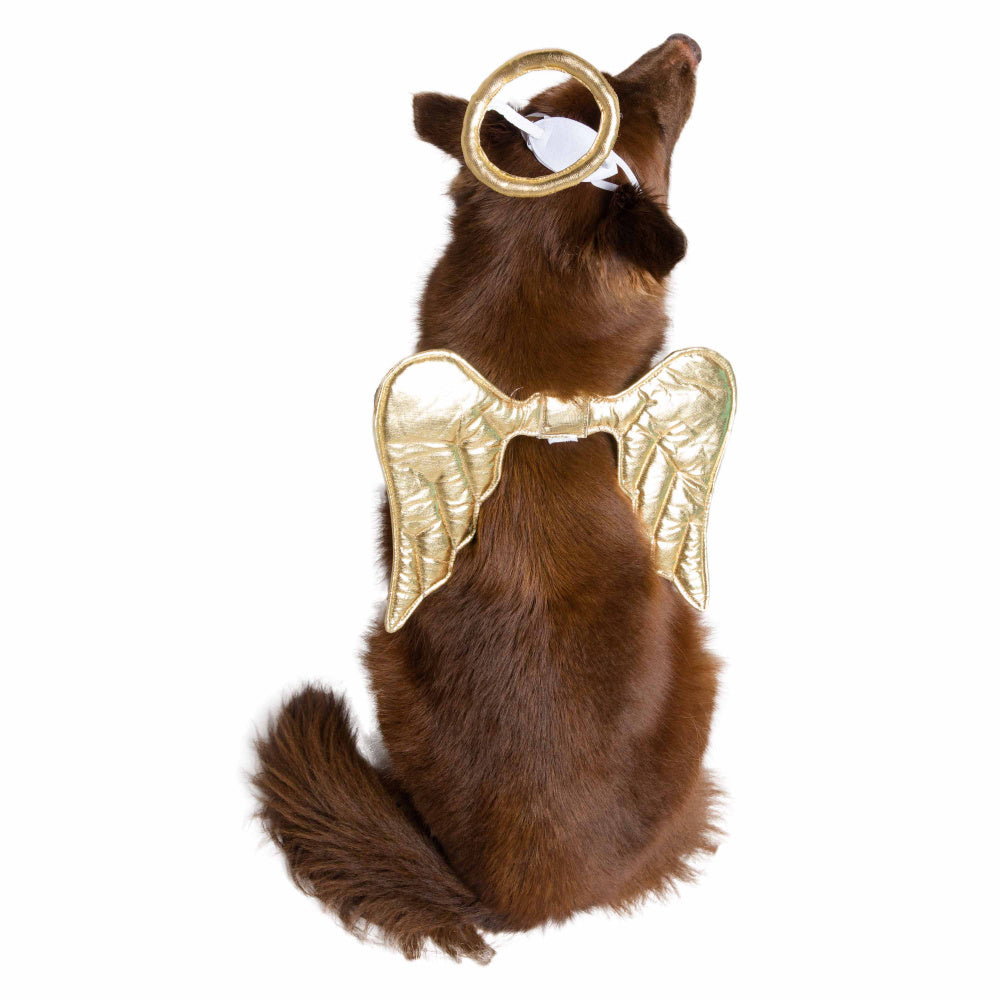 Pet Krewe Angel Costume for Cats & Dogs