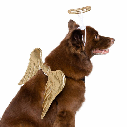 Pet Krewe Angel Costume for Cats & Dogs