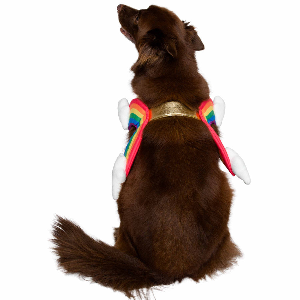 Pet Krewe Rainbow Costume for Cats & Dogs