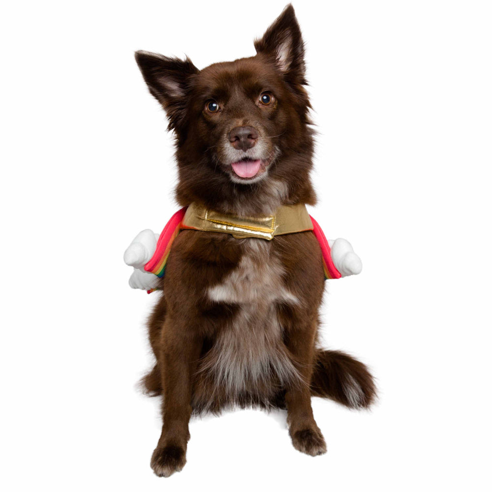 Pet Krewe Rainbow Costume for Cats & Dogs