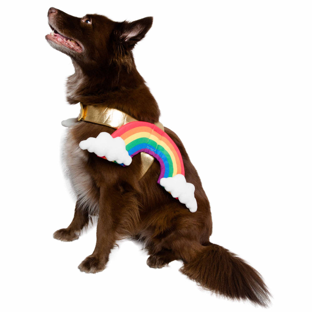 Pet Krewe Rainbow Costume for Cats & Dogs