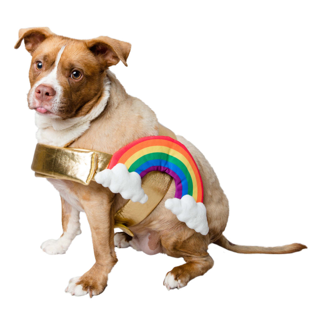 Pet Krewe Rainbow Costume for Cats & Dogs