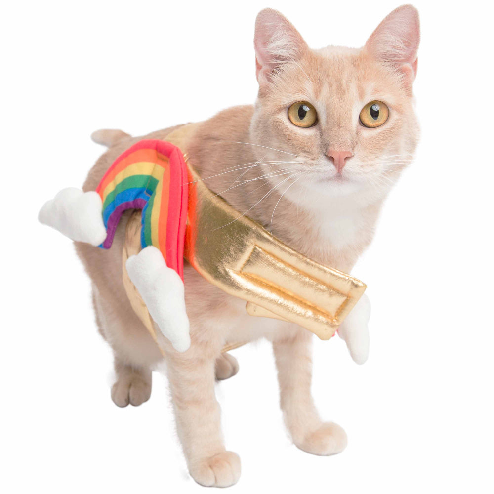 Pet Krewe Rainbow Costume for Cats & Dogs