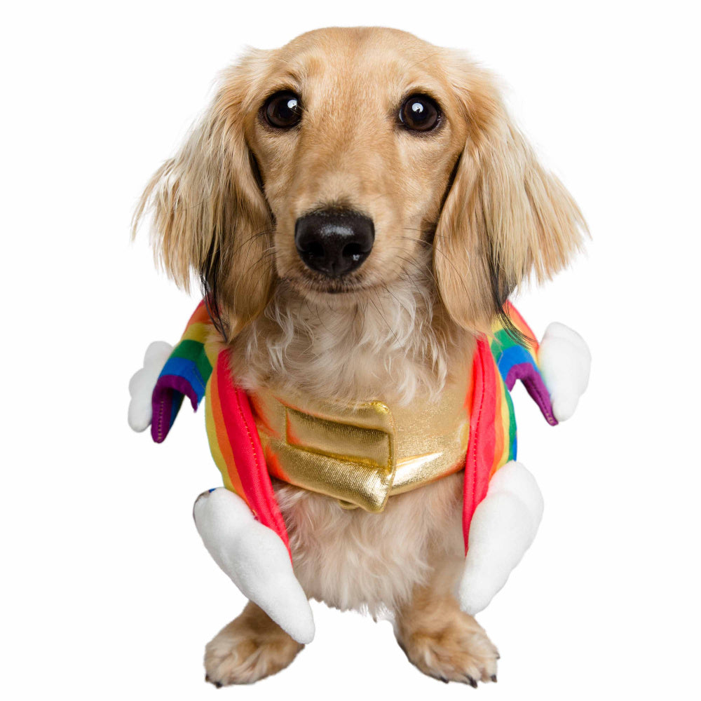 Pet Krewe Rainbow Costume for Cats & Dogs